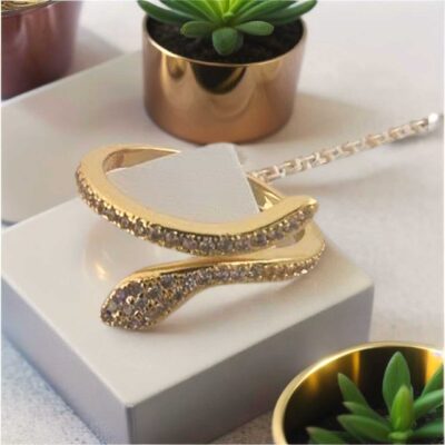 Anillo Serpiente