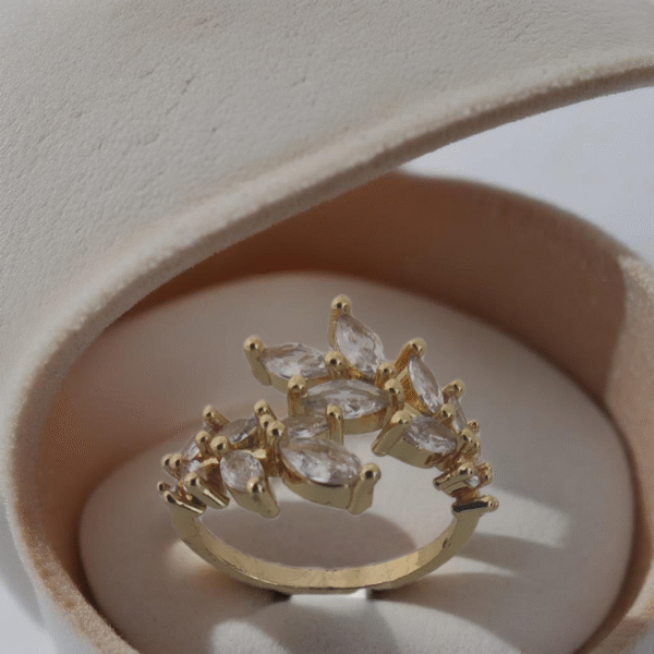 Anillo Con Circones